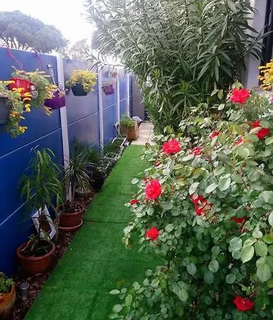 Petite Maison Mitoyenne, Proche Port & Arcachon * La Teste-de-Buch