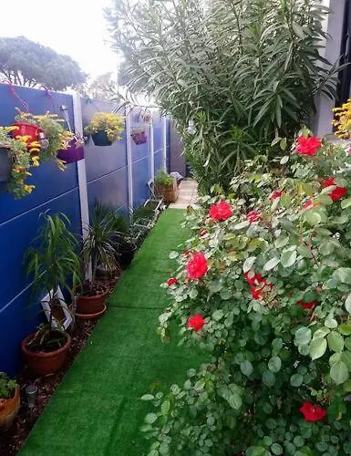 Petite Maison Mitoyenne, Proche Port & Arcachon * La Teste-de-Buch