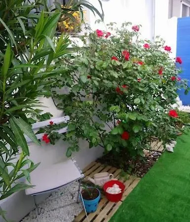 Petite Maison Mitoyenne, Proche Port&arcachon * La Teste-de-Buch