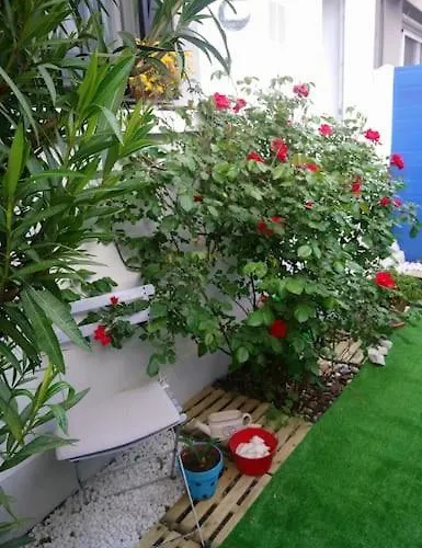 Petite Maison Mitoyenne, Proche Port & Arcachon * La Teste-de-Buch